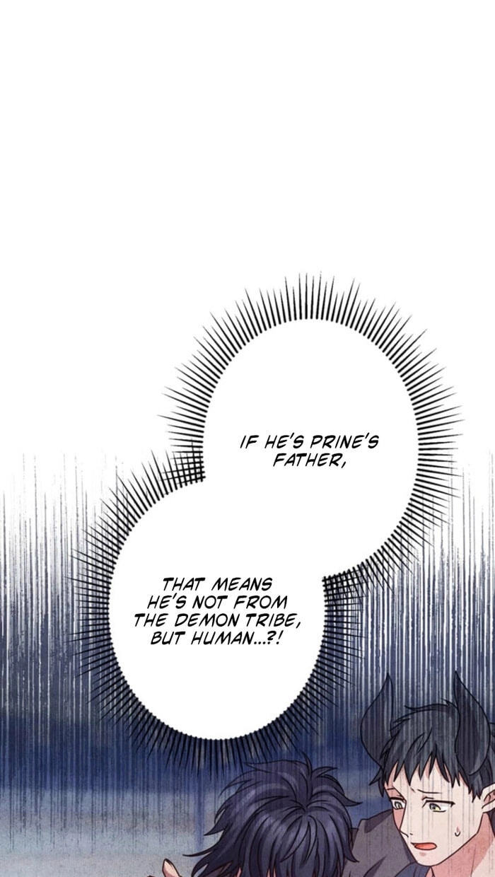 Watashi ga Horobo Shite Ii desu yo ne - Junpaku no Seijo wa Fukushuu o Chikau Chapter 9 page 88 - 