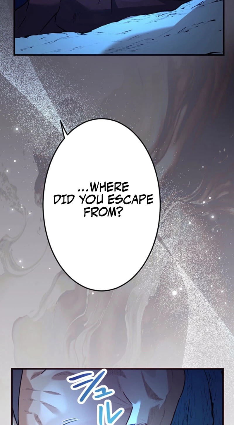 Watashi, Nando ka Shindemasu ~Itoshii Heika no Tame Naraba Konomi wa Hotoshibareru Ya Kara mo Honoo Kara mo Tate to Nari~ Chapter 33 page 13 - 