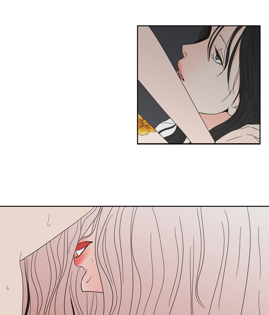 WDTFS Chapter 1 page 36 - 