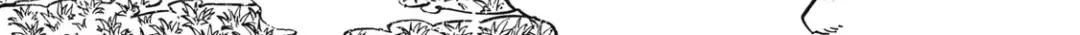 “We Don’t Need Incompetent People” They Said, So I Cut Ties With Them: Raised by the Four Heavenly Queens, I Became an Unrivaled Adventurer Chapter 2 page 34 - 