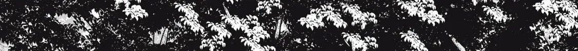“We Don’t Need Incompetent People” They Said, So I Cut Ties With Them: Raised by the Four Heavenly Queens, I Became an Unrivaled Adventurer Chapter 6 page 29 - 