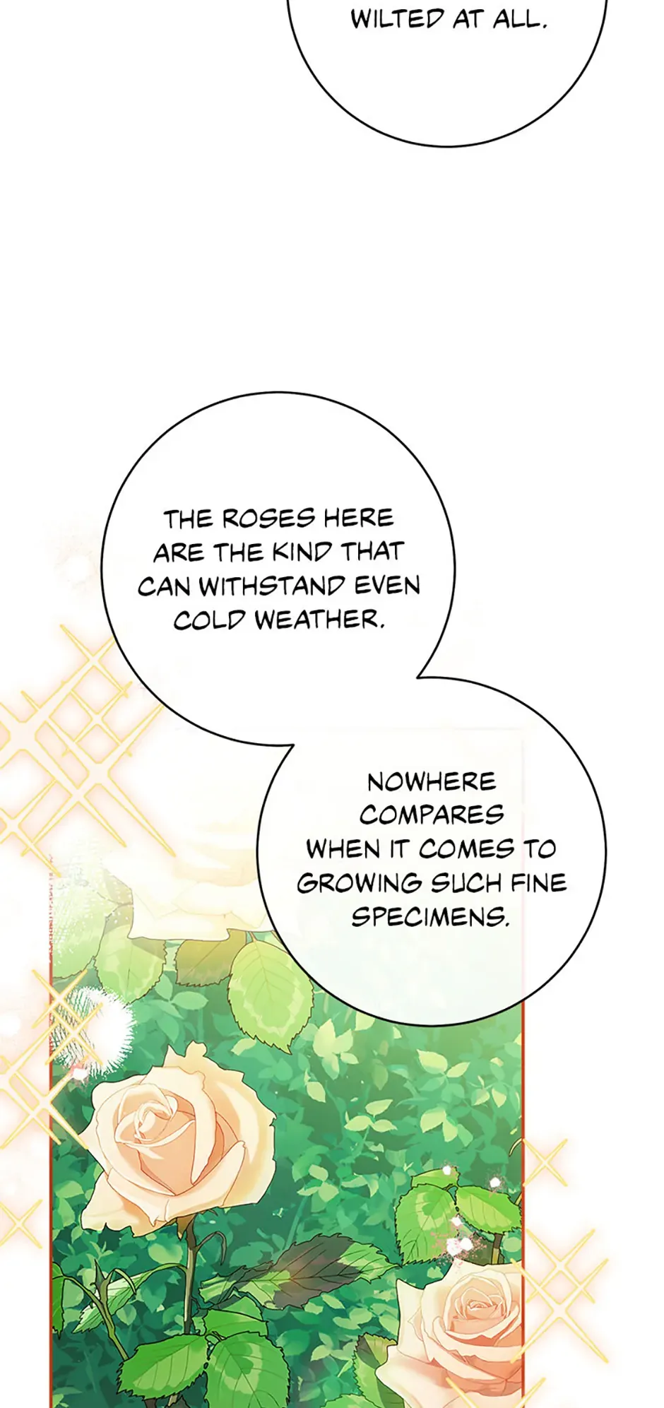 We Hate the Male Lead Chapter 29 page 62 - 