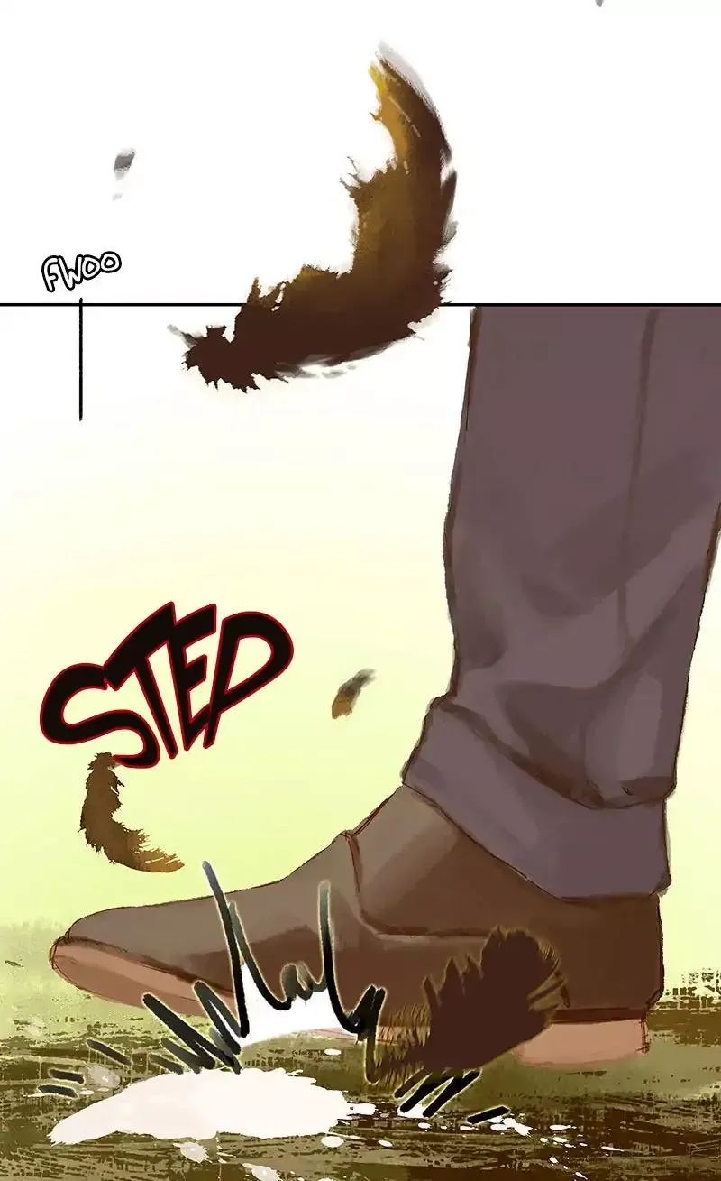 We