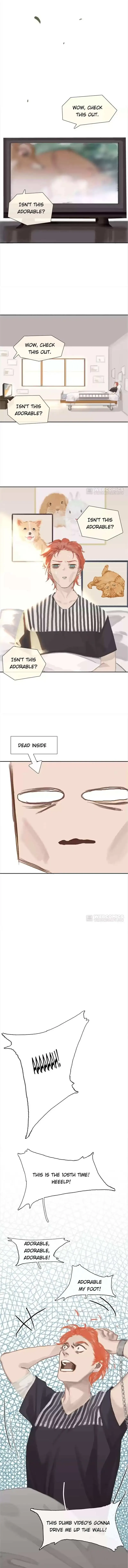 We