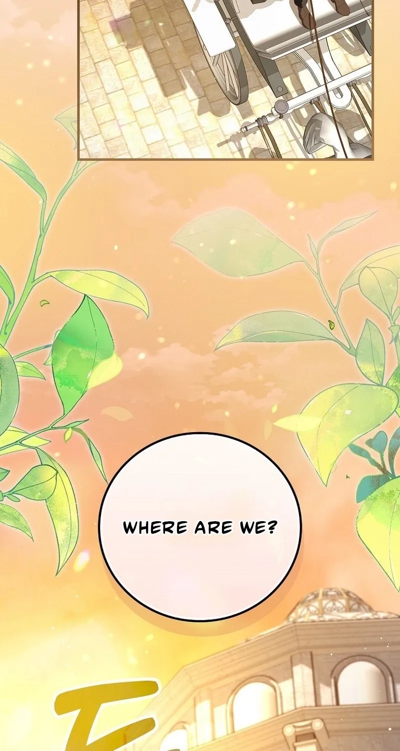 We