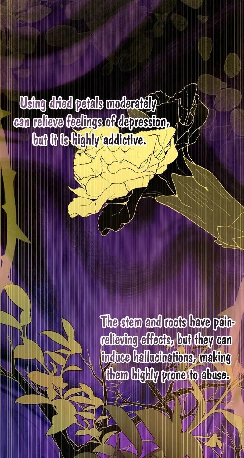 We