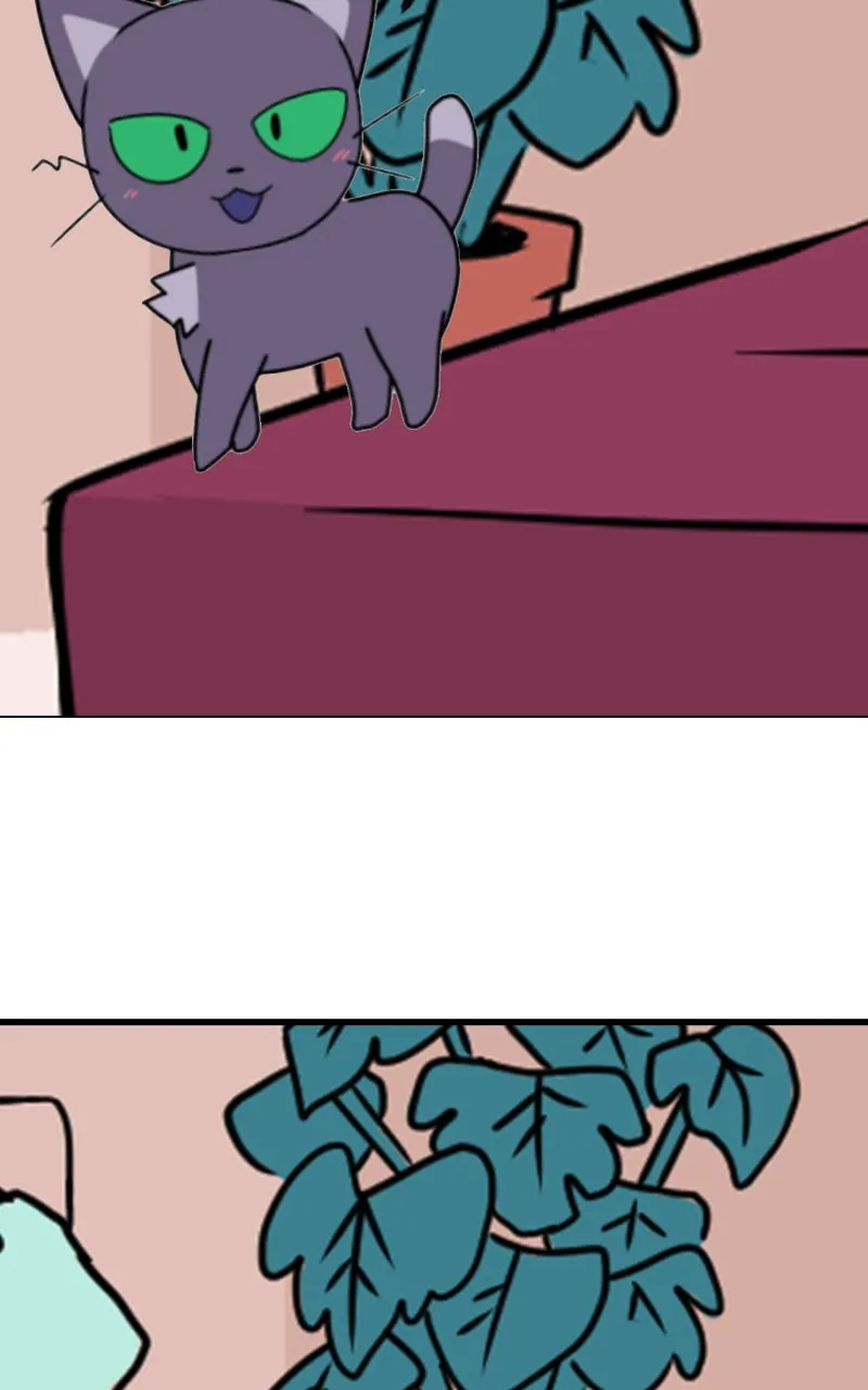 WEBTOON Now Chapter 251 page 3 - 