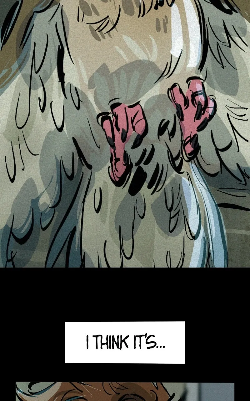 WEBTOON Now Chapter 251 page 49 - 