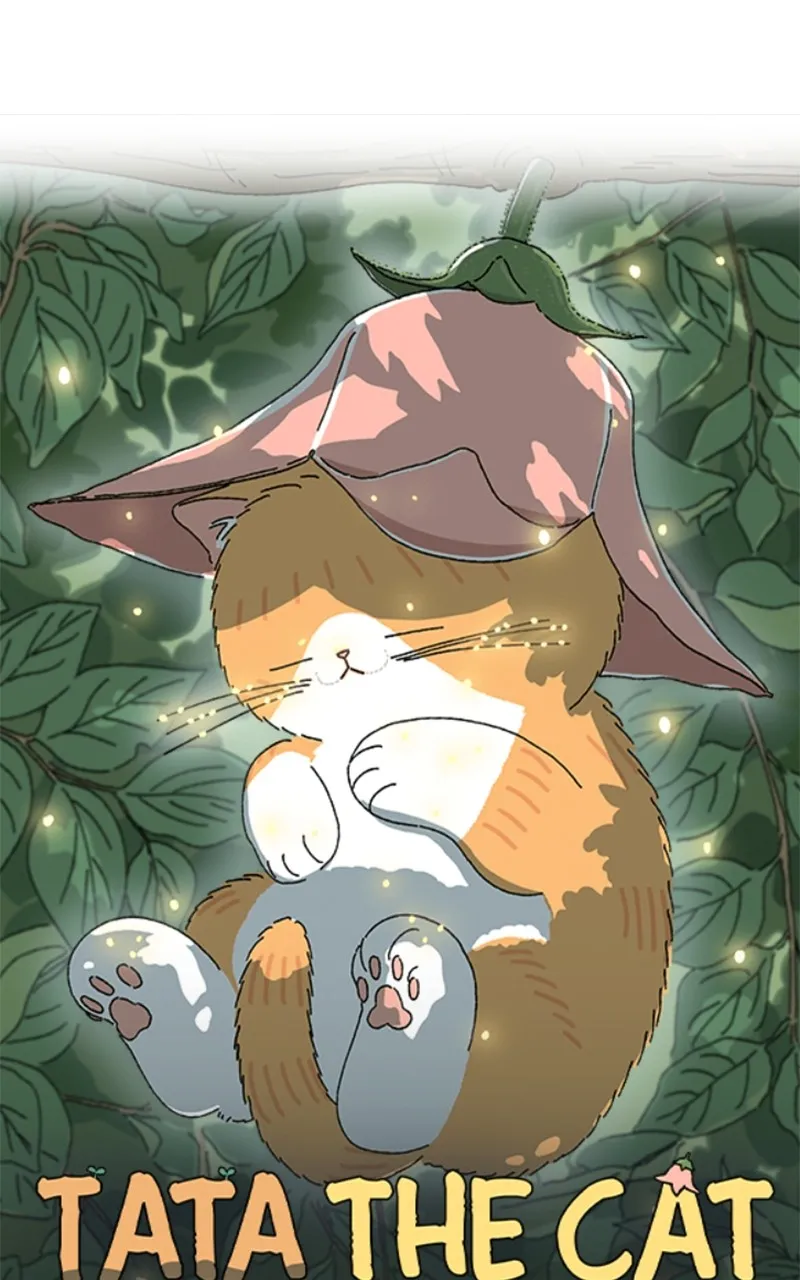 WEBTOON Now Chapter 260 page 255 - 