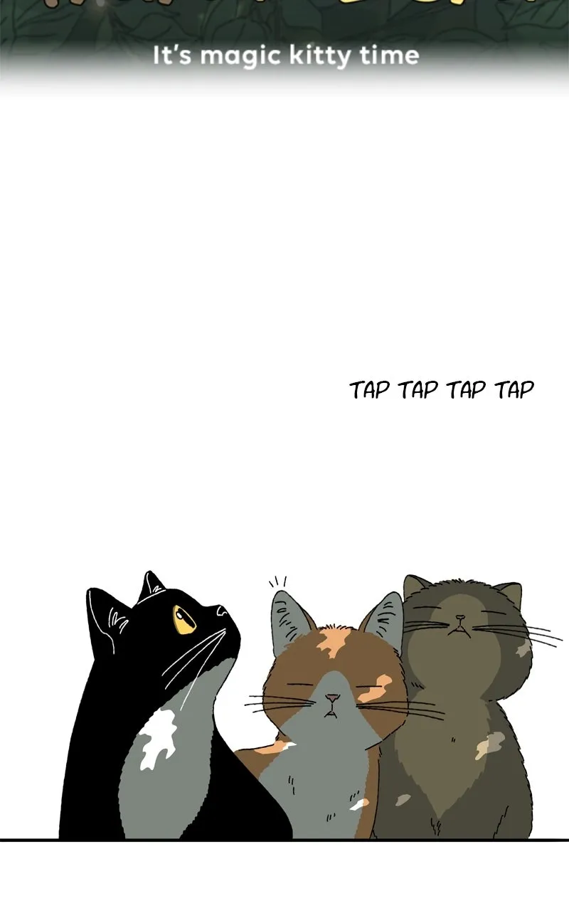WEBTOON Now Chapter 260 page 256 - 