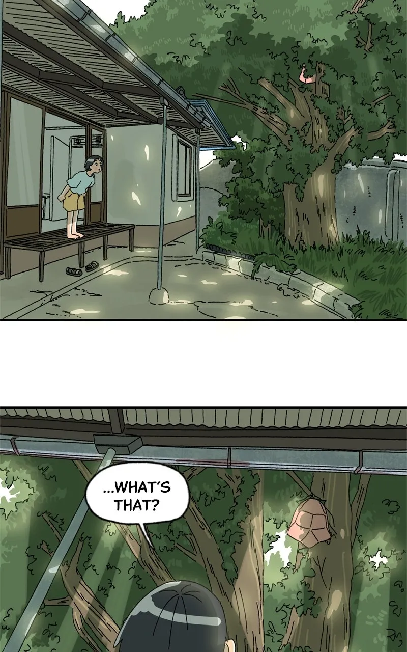 WEBTOON Now Chapter 260 page 262 - 