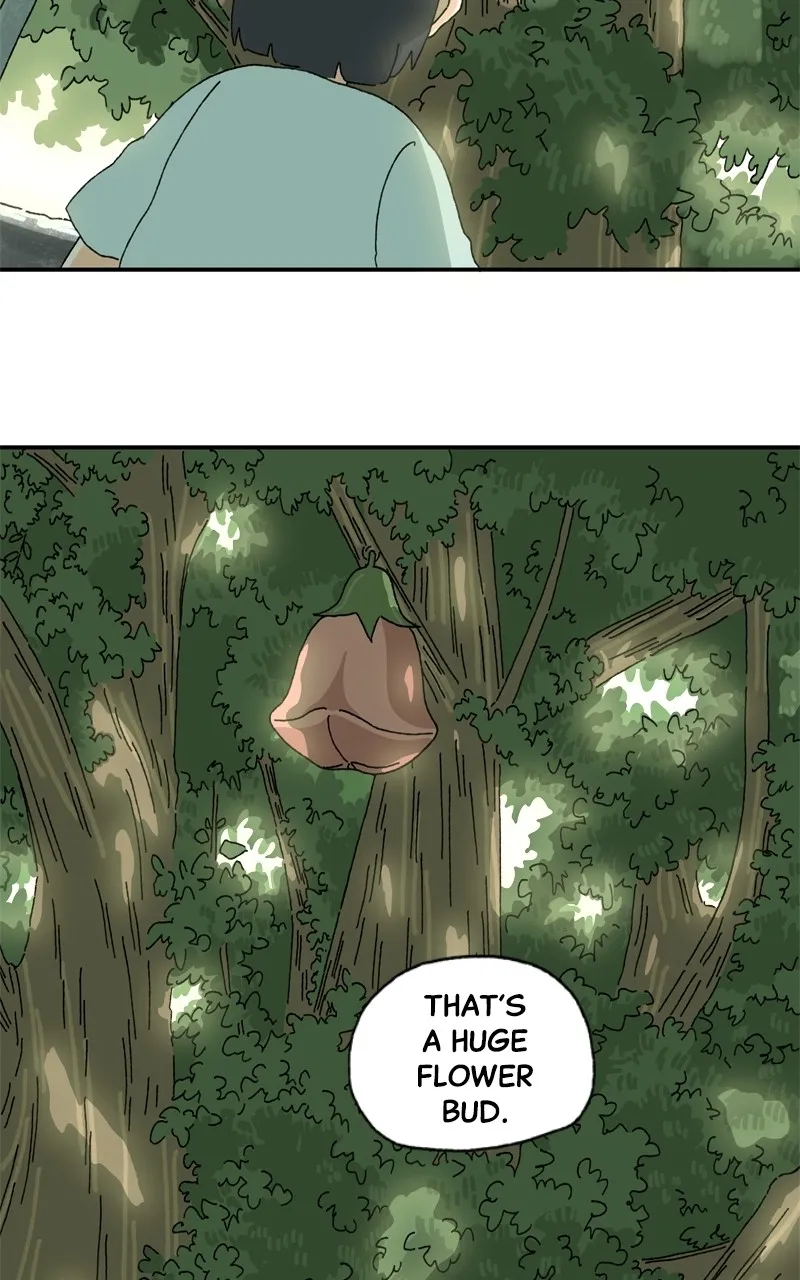 WEBTOON Now Chapter 260 page 263 - 
