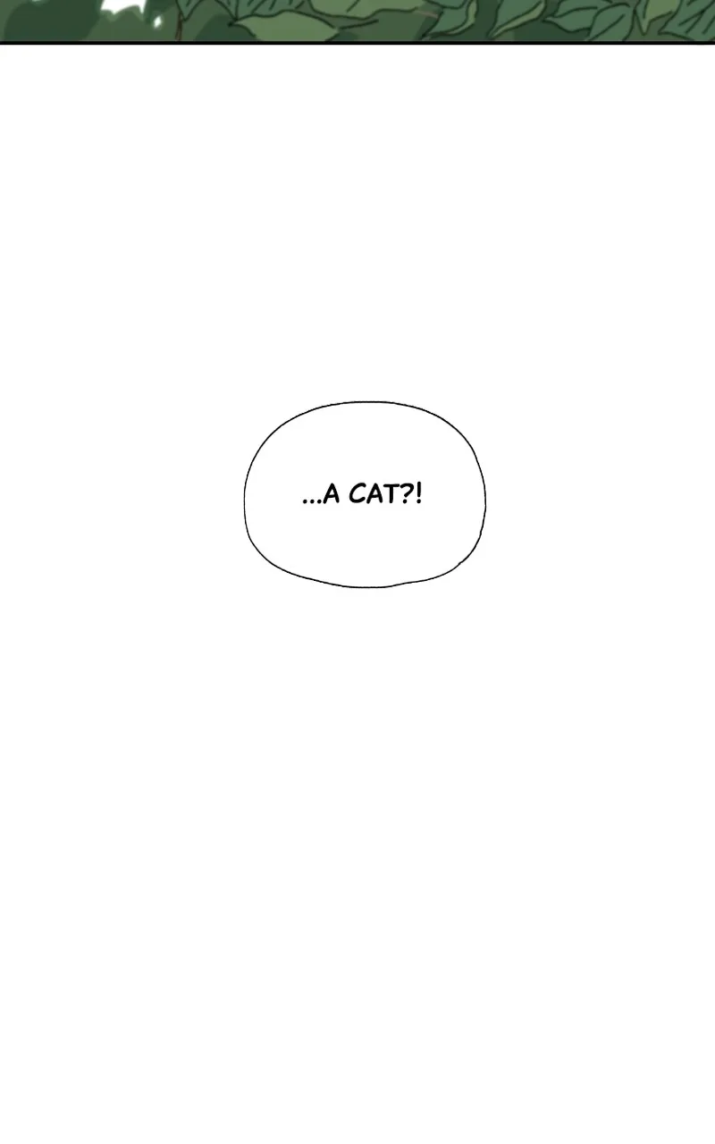 WEBTOON Now Chapter 260 page 277 - 