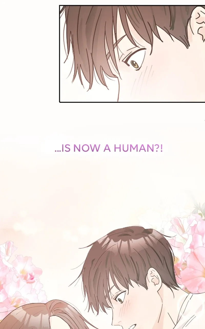 WEBTOON Now Chapter 262 page 11 - 