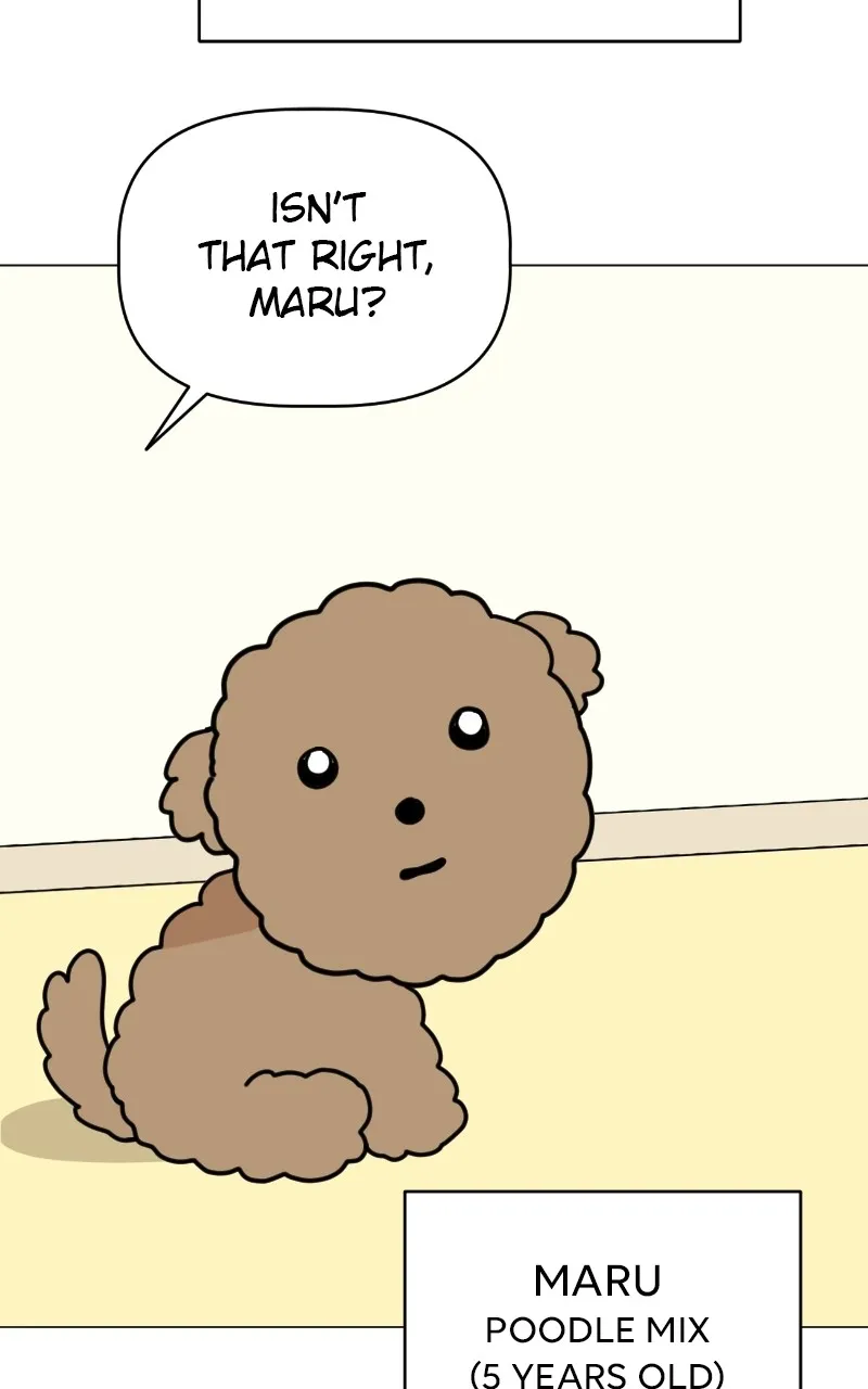 WEBTOON Now Chapter 262 page 16 - 