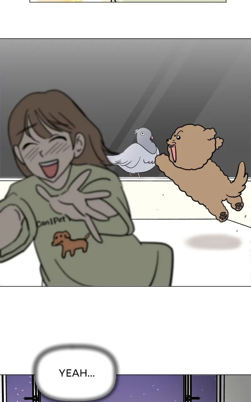 WEBTOON Now Chapter 262 page 19 - 