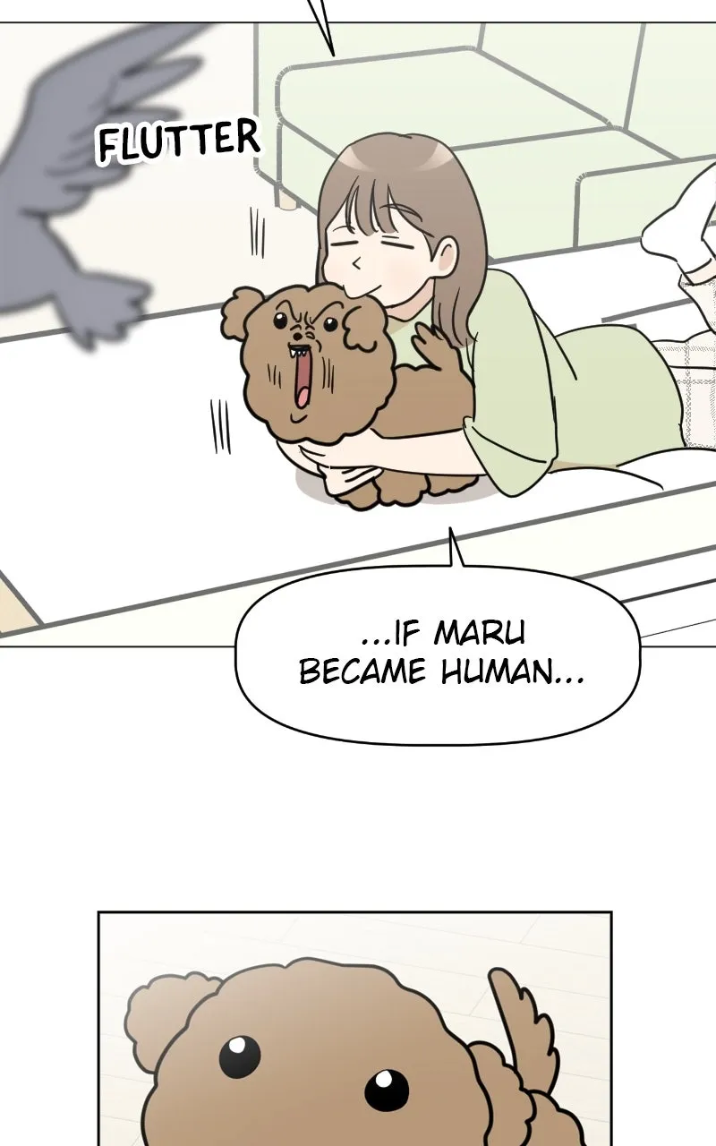 WEBTOON Now Chapter 262 page 21 - 