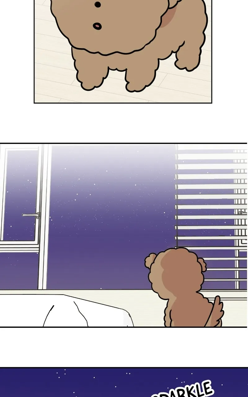 WEBTOON Now Chapter 262 page 22 - 