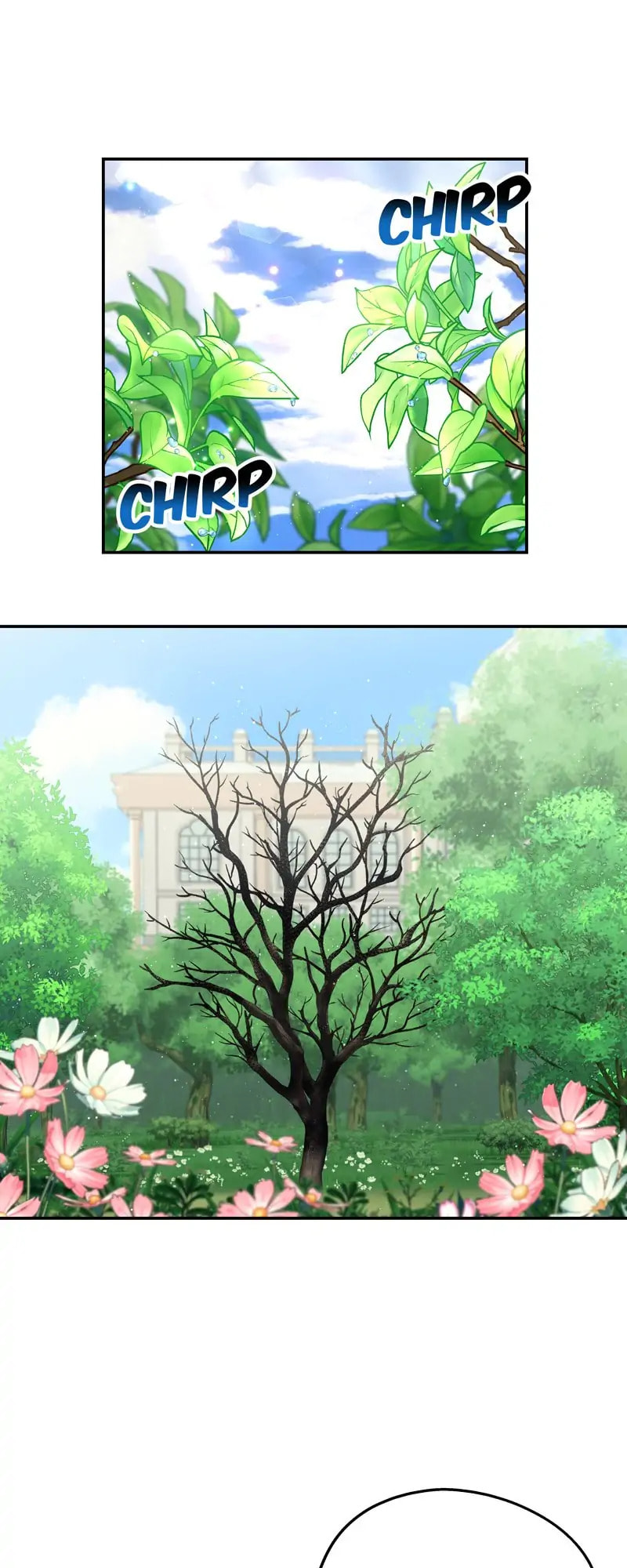 Welcome to Sylvia