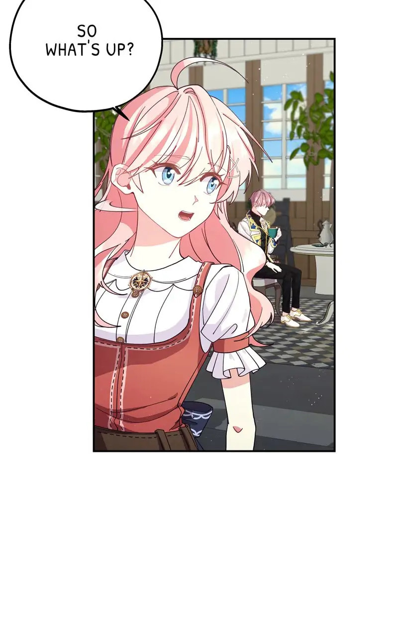Welcome to Sylvia