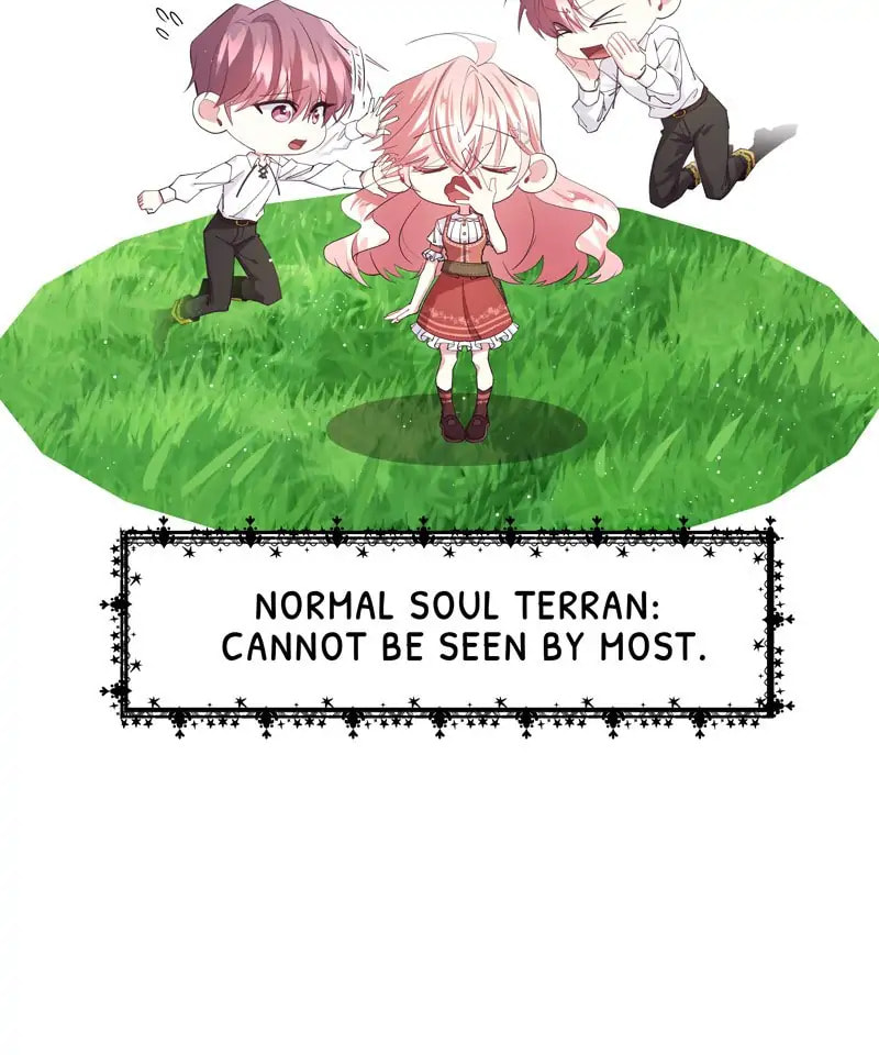 Welcome to Sylvia