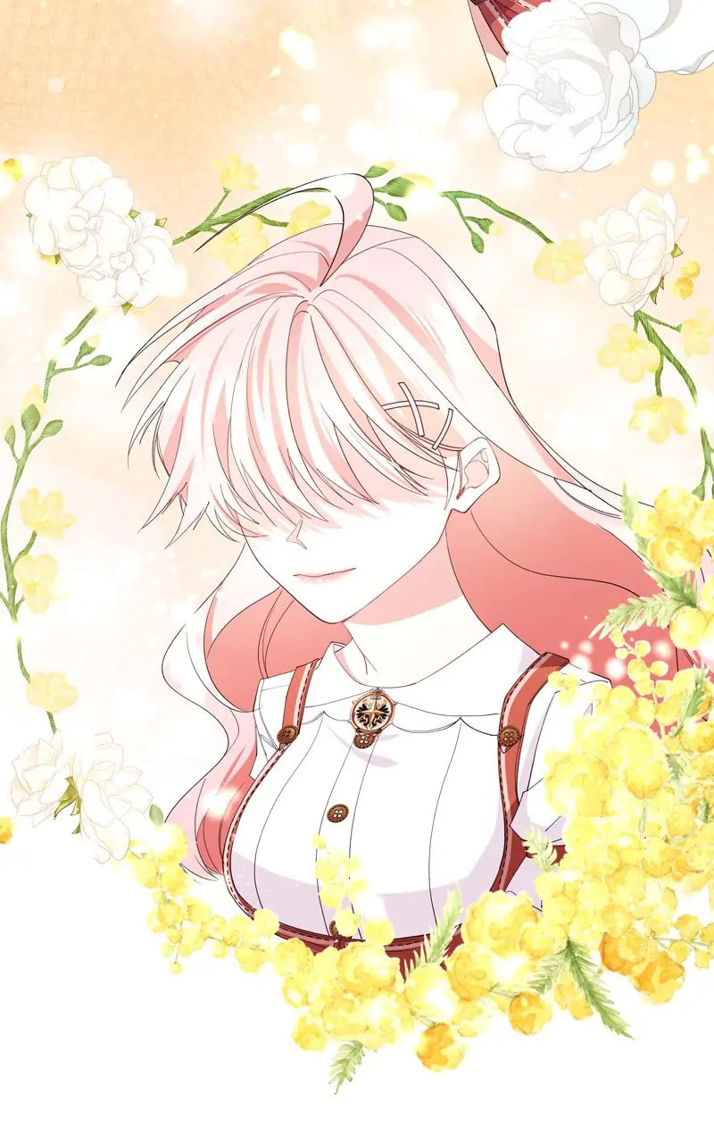 Welcome to Sylvia