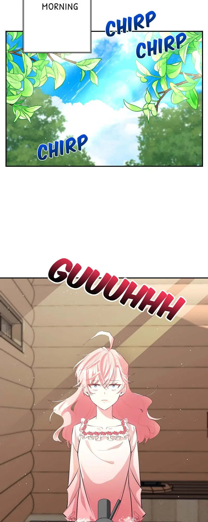 Welcome to Sylvia