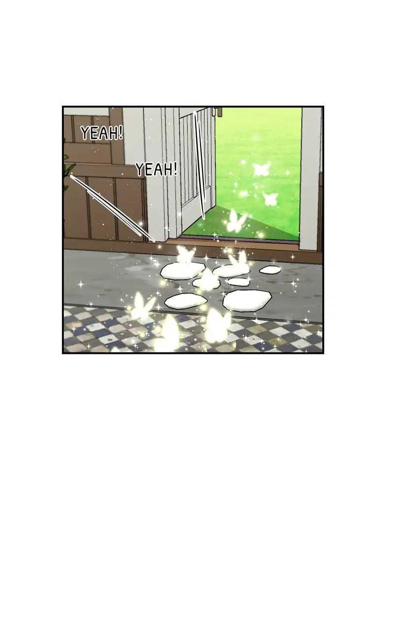 Welcome to Sylvia