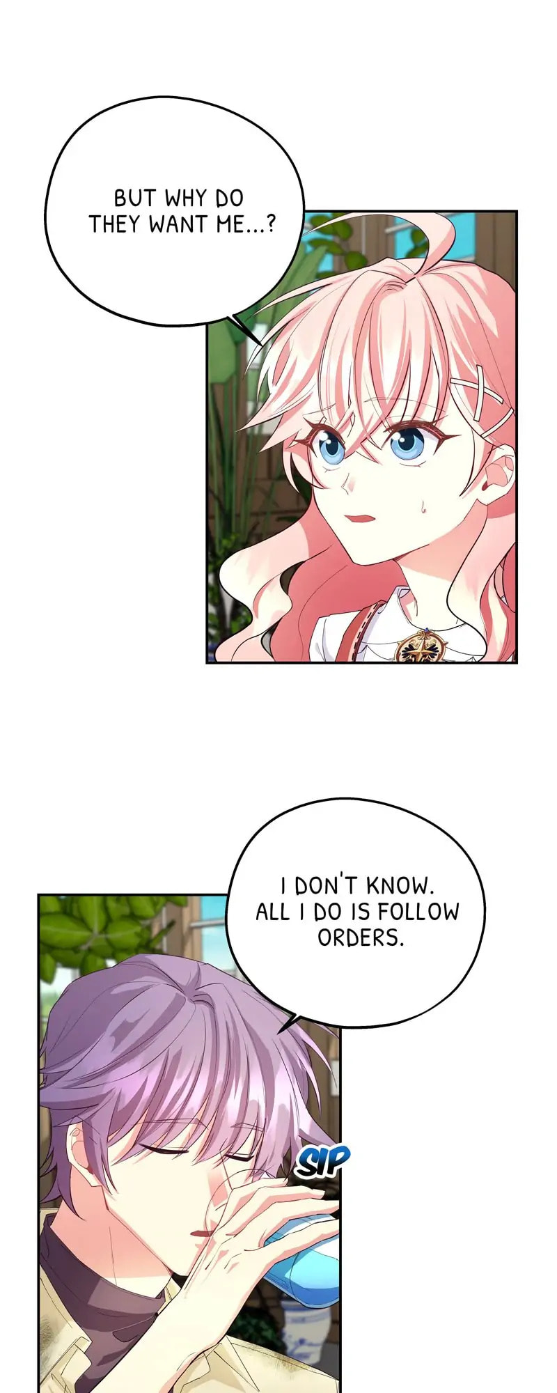 Welcome to Sylvia