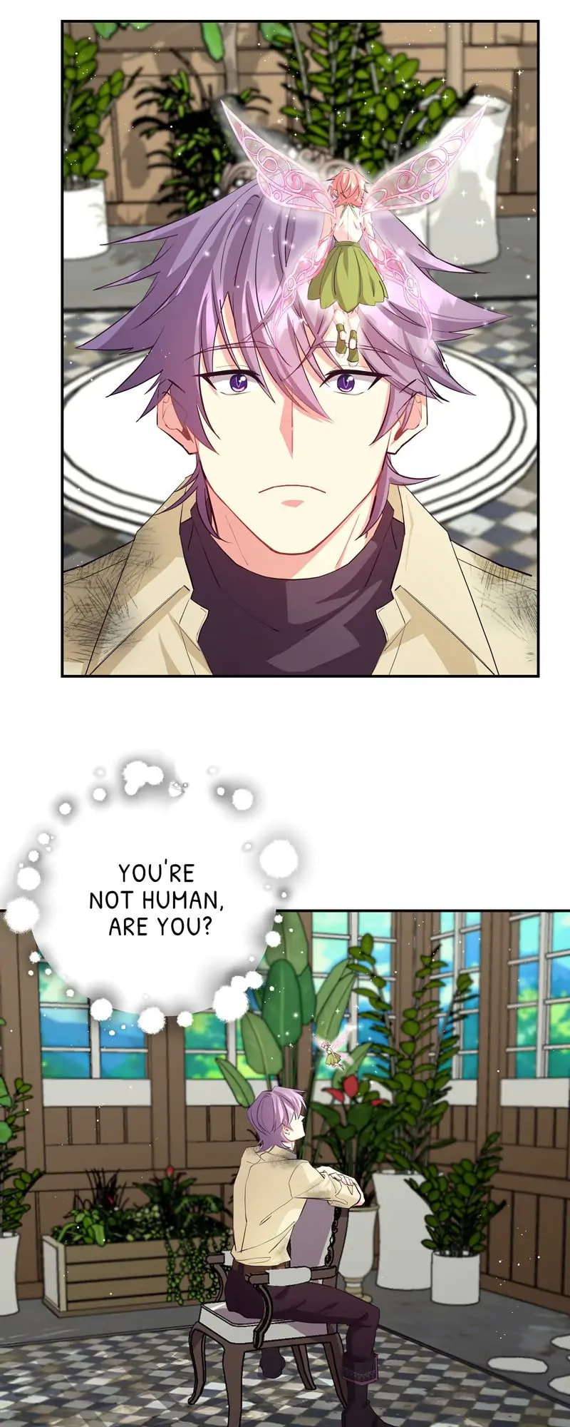 Welcome to Sylvia