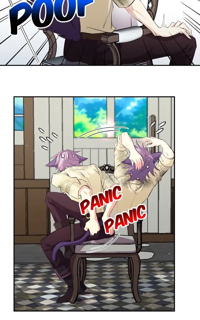 Welcome to Sylvia