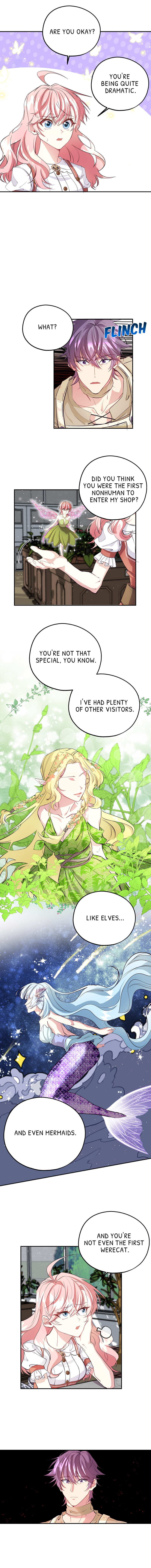 Welcome to Sylvia