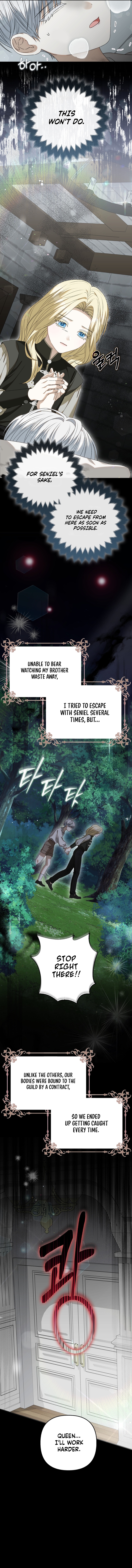 Welcome to the Café of the Dark Guild’s Successor Chapter 1 page 11 - 