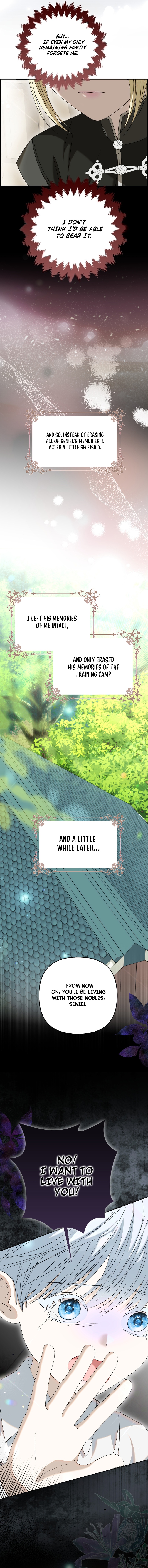 Welcome to the Café of the Dark Guild’s Successor Chapter 1 page 17 - 