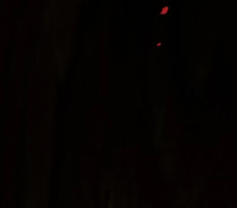 Welcome to the Rose Manor Chapter 1.4 page 45 - 