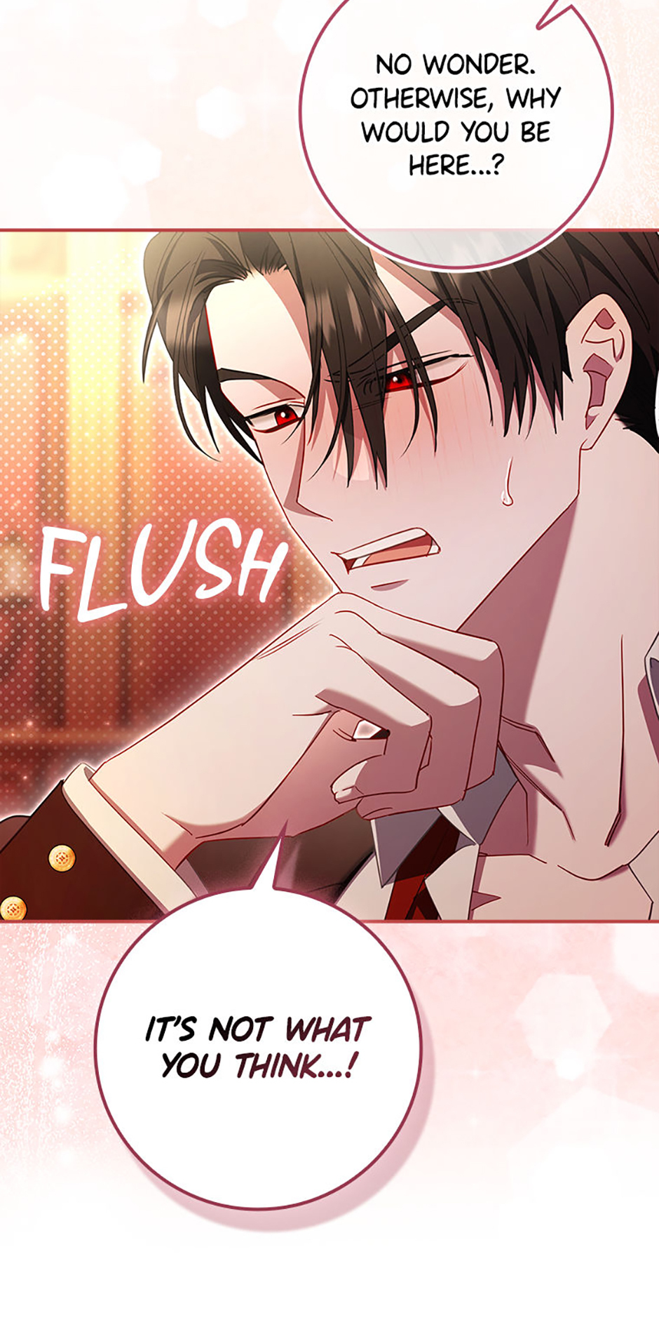 What a Useful Sham Marriage Chapter 10 page 12 - 