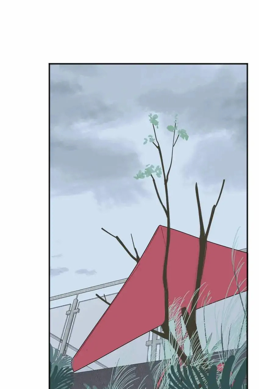 What Love Looks Like: Heart Wants What It Wants (Colored) Chapter 91.5 page 12 - 