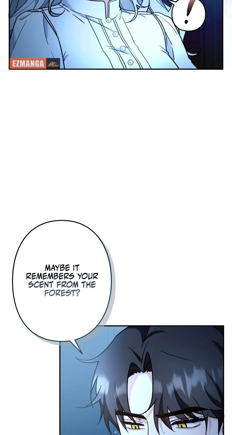What Remains in the Damaged Place Chapter 11 page 13 - 