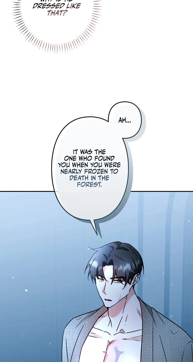What Remains in the Damaged Place Chapter 11 page 16 - 