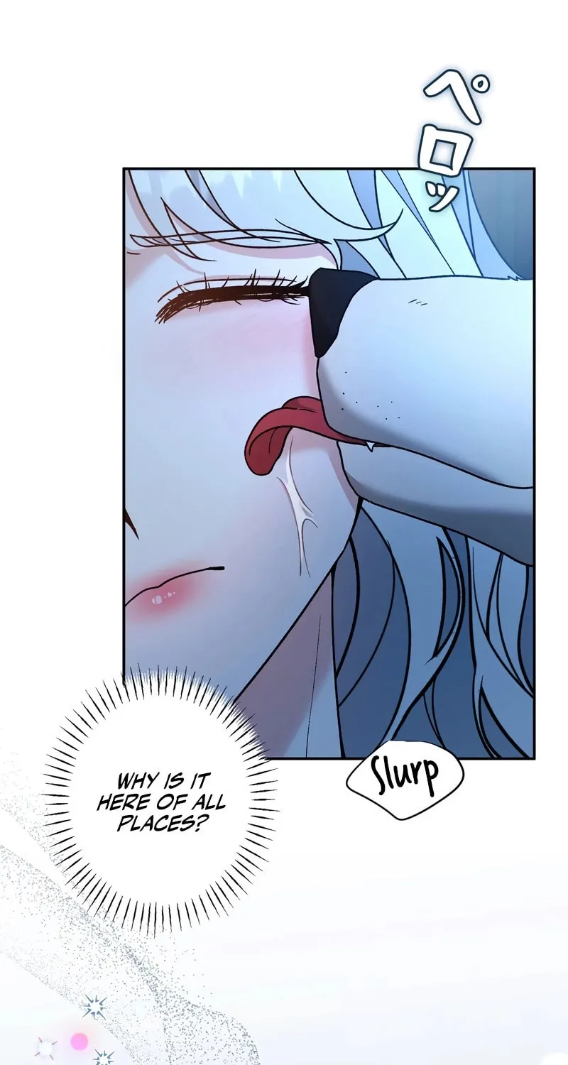 What Remains in the Damaged Place Chapter 11 page 3 - 