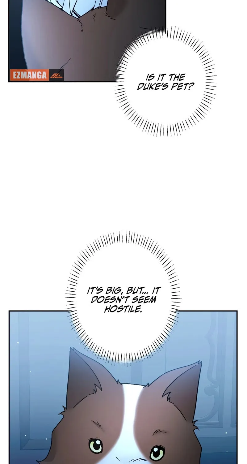 What Remains in the Damaged Place Chapter 11 page 6 - 