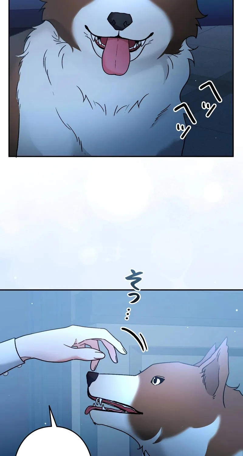 What Remains in the Damaged Place Chapter 11 page 7 - 