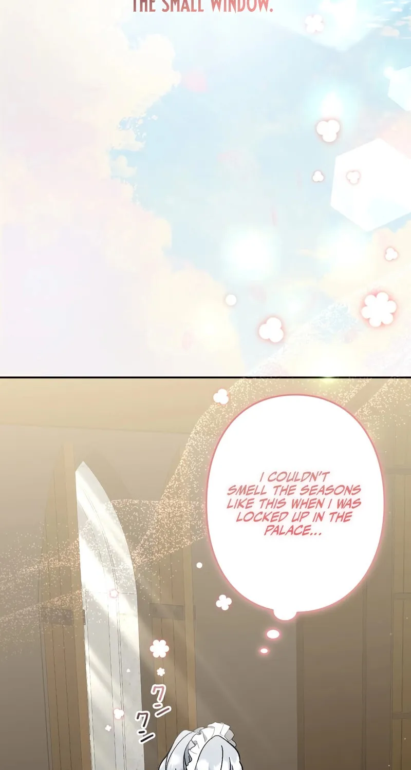 What Remains in the Damaged Place Chapter 13 page 3 - 