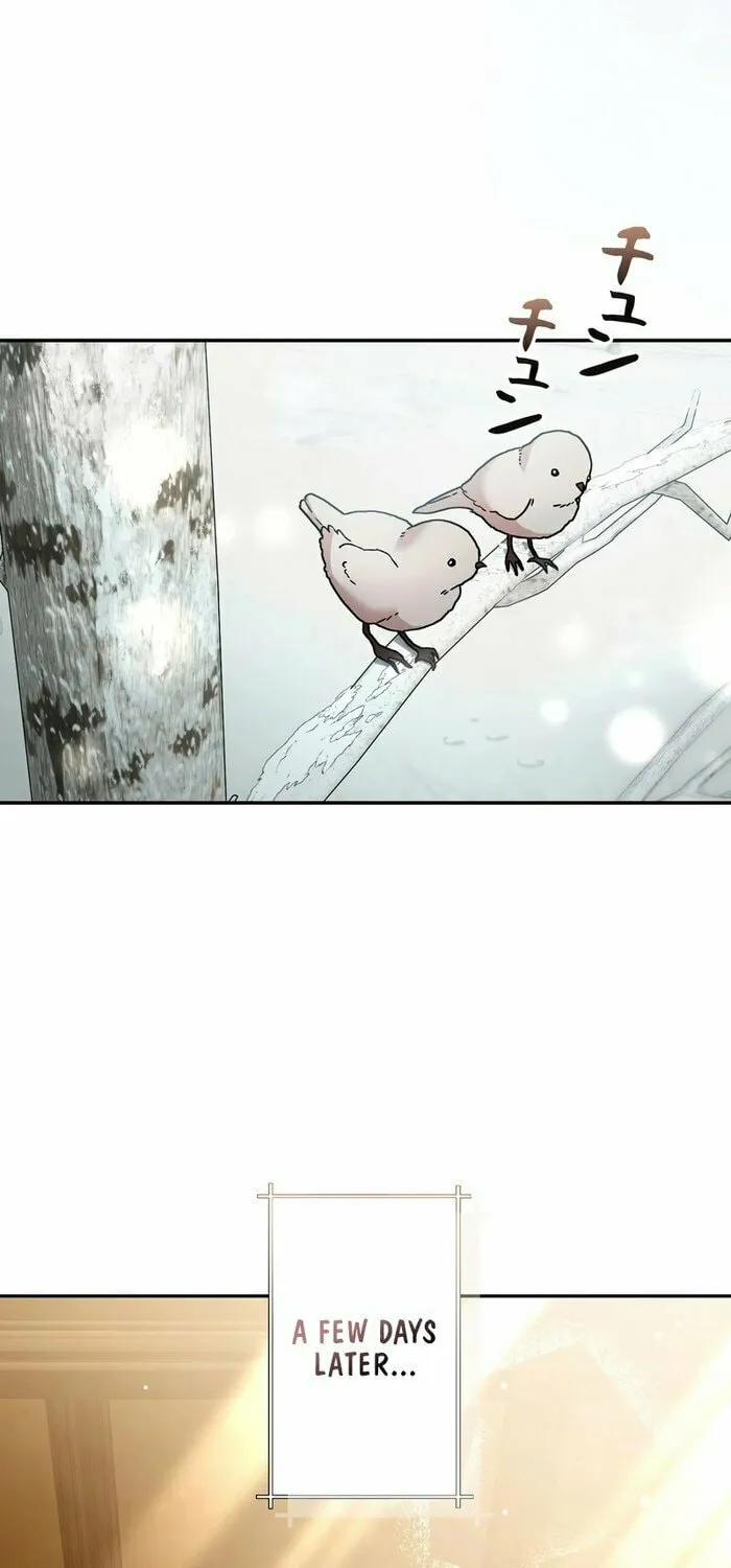 What Remains in the Damaged Place Chapter 9 page 41 - 