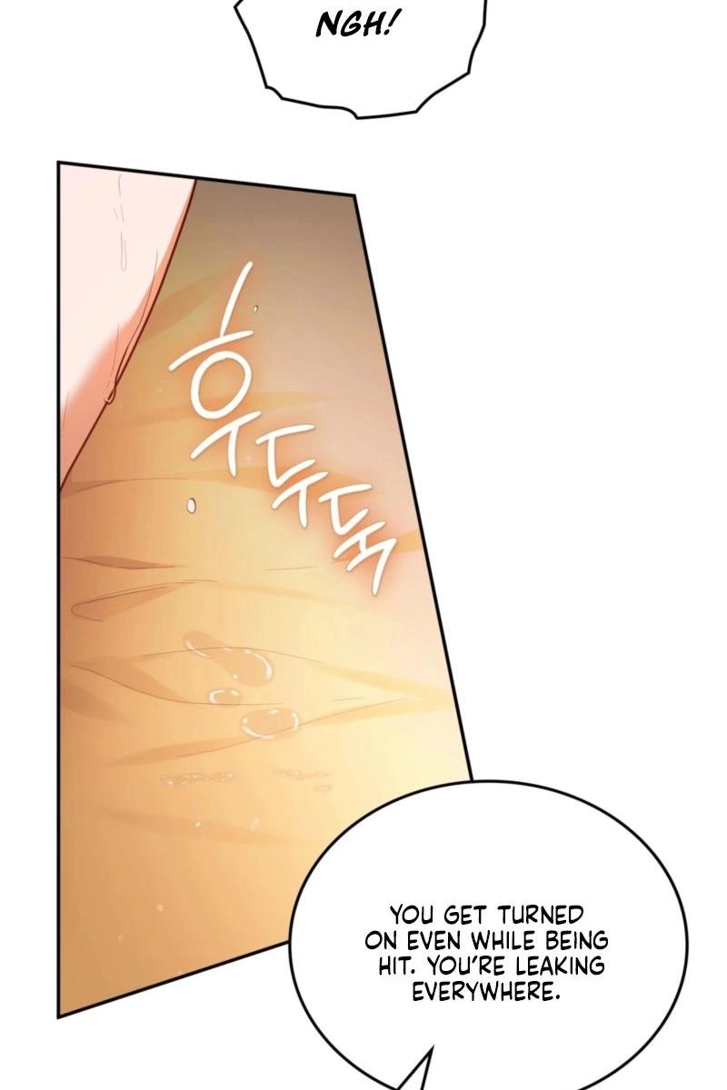 What Should I Do, Sister? Chapter 8 page 19 - 