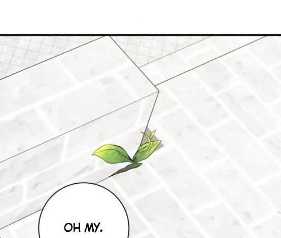What the Duke Picked Up in the Forest Chapter 14 page 31 - 