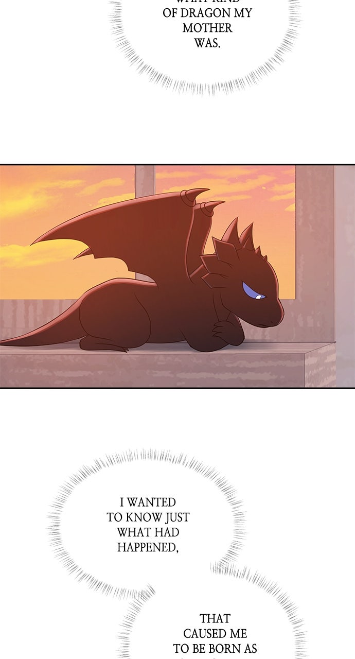 What the EvilDragon Lives For Episode 21 page 28 - 