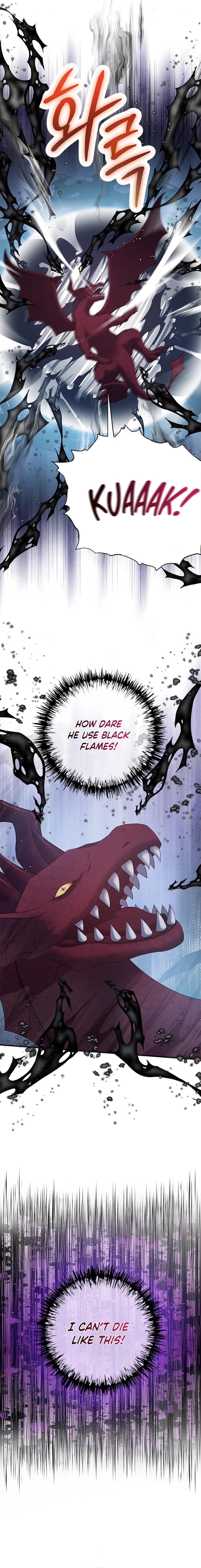 What the EvilDragon Lives For Chapter 999 page 17 - 