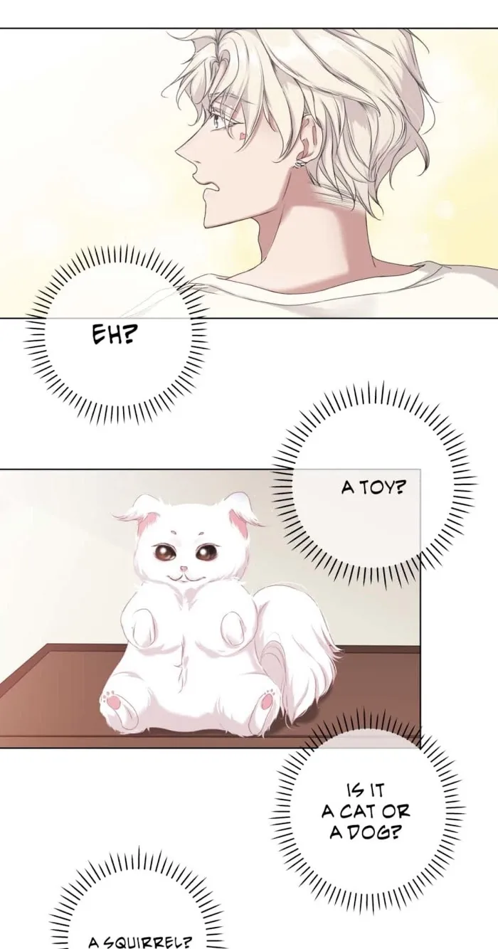 What You Wish For Chapter 2 page 43 - 