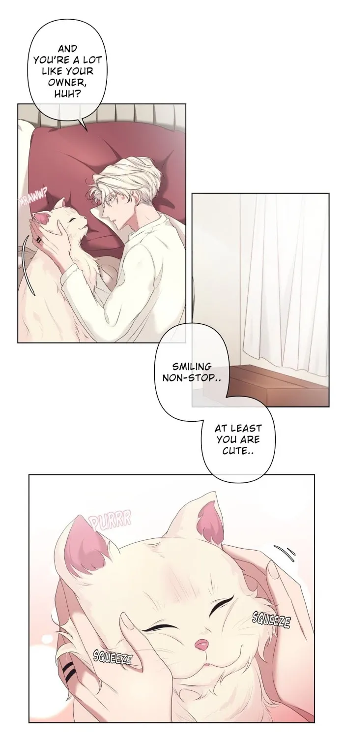 What You Wish For Chapter 3 page 37 - 